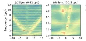 Dissolving cardiac device monitors, treats heart disease 2