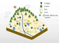 Ditches and ponds can be the sources or sinks of non-point source pollution: observations in an upland area in the Jinglinxi catchment, China