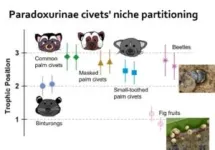 Diverse diets of civets in Borneo rainforest allow them to live in same geographical area 2