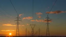 Diversity can prevent failures in large power grids