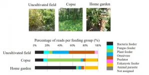 DNA barcodes decode the world of soil nematodes