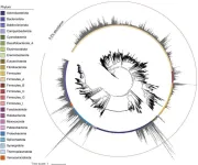 DNA from preserved feces reveals ancient Japanese gut environment