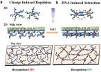 DNA-linked nanoparticles form switchable 'thin films' on a liquid surface 2