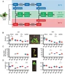 DNA methylation: The hidden mechanism enabling plants to adapt in a warmer world