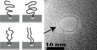 DNA prefers to dive head first into nanopores