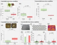 Does urbanization trigger plant evolution?