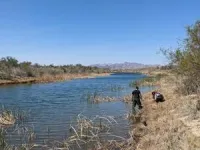 Dog-killing flatworm discovered in Southern California 3