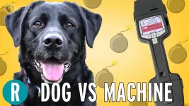 Dog vs. machine: Whos a better bomb detector? (video)