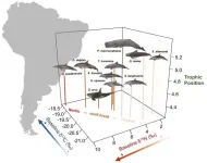 Dolphin species that live together, do not necessarily compete for food