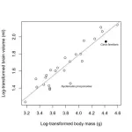 Domestication causes smaller brian size in dogs than in the wolf, but such an evolutionary change is not unusual in wild animals 2