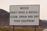 Don't move a mussel (or a clam, or a snail) 2