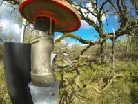 Don't worry, birds won't become dependent on you feeding them, study suggests