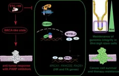 Double trouble for drug-resistant cancers