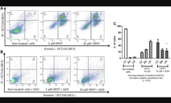 DPDT anticancer activity in human colon cancer HCT116 cells