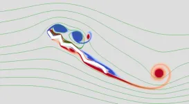 Dragonfly wings used to study relationship between corrugated wing structure and vortex motions