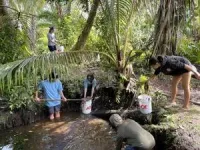 Drone technology aid restoration, resilience of Native Hawaiian fishponds 2