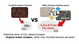 Drying and rewetting cycles substantially increased soil CO2 release