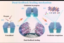 Dual-feedback healing mechanism redefining anti-oxidation coatings in fiber reinforced composites