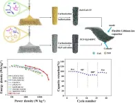 Dual-metal sulfides improve overall function of anode material in lithium-ion capacitors