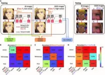 Dual-metal sulfides improve overall function of anode material in lithium-ion capacitors 2