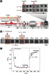 Dual-shot dynamics and ultimate frequency of all-optical magnetic recording on GdFeCo