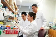 Duke-NUS discovery advances quest for treatment for age- and cancer-related muscle degeneration 2