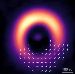 Dusting for stars’ magnetic fingerprints