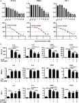 E64FC26, a protein disulfide isomerase inhibitor, ameliorates articular cartilage damage and disease severity in a mouse model of rheumatoid arthritis