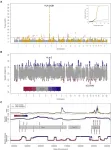 Early European farmers borrowed genes from hunter-gatherers to survive disease