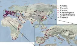 Early human species benefited from food  diversity in steep mountainous terrain