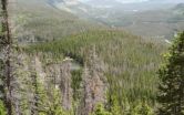 Earth Week: Bark beetles change Rocky Mountain stream flows, affect water quality