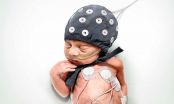 Earthquakes -- an unexpected help in interpreting the brain activity of premature babies