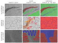 Easier and faster materials microstructure analysis through human-AI collaboration!