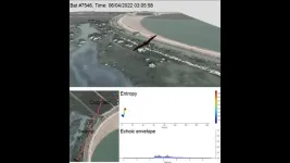 Echolocating bats use an acoustic cognitive map for navigation