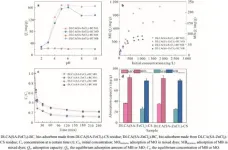 Eco-friendly biomass pretreatment method yields efficient biofuels and adsorbents