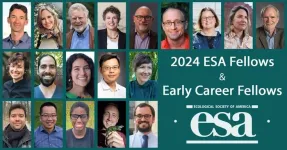 Ecological Society of America announces 2024 Fellows