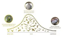 Ecosystem footprint concept and its potential applications in environmental management 3