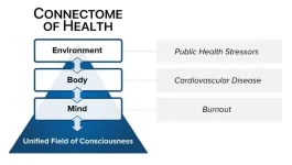 Editorial addresses clinician burnout with unifying systems medicine model