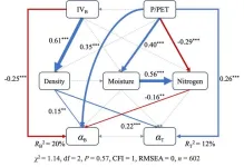 Effects of bamboo invasion on forest structures and diameter–height allometries