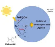 Effects of Fenton-like reactions of ferric oxalate on atmospheric oxidation processes and radiative forcing