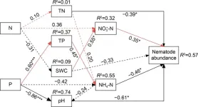 Effects of nitrogen and phosphorus additions on soil nematode community of soybean farmland