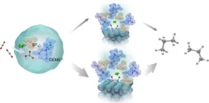 Efficient CO2 conversion to fuels and chemicals using ionic liquid electrolyte