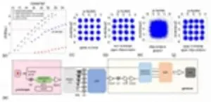 Efficient stochastic parallel gradient descent training for on-chip optical processors 3