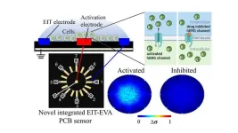 Electrical impedance tomography–extracellular voltage activation technique simplifies drug screening