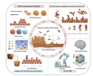 Electrochemical carbon dioxide reduction: Dynamic surfaces of Cu-based catalysts