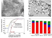 Electrochemical synthesis of formate from CO2 using a Sn/reduced graphene oxide catalyst