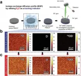 Electrokinetic proton transport in triple conducting oxides as key descriptor for highly efficient protonic ceramic fuel cells