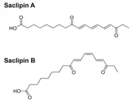 Electrons are quick-change artists in molten salts, chemists show 2