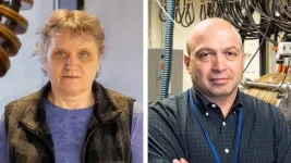 Elena Belova and Yevgeny Raitses recognized for groundbreaking plasma physics research