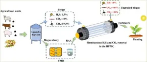 Elevating biogas upgrading performance on renewable aqueous ammonia solution via a novel “membrane method”